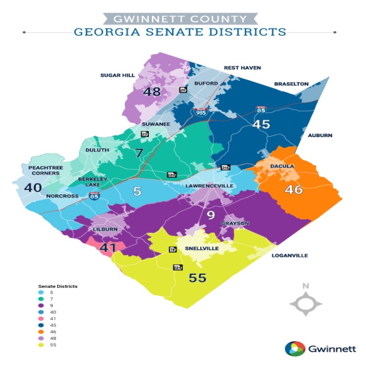 Map of Gwinnett's Senate Districts